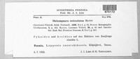 Image Associated With the Occurence